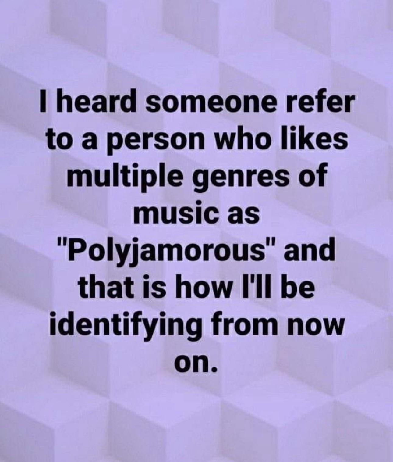 Text on a geometric, light purple background that reads: "I heard someone refer to a person who likes multiple genres of music as 'Polyjamorous' and that is how I'll be identifying from now on."